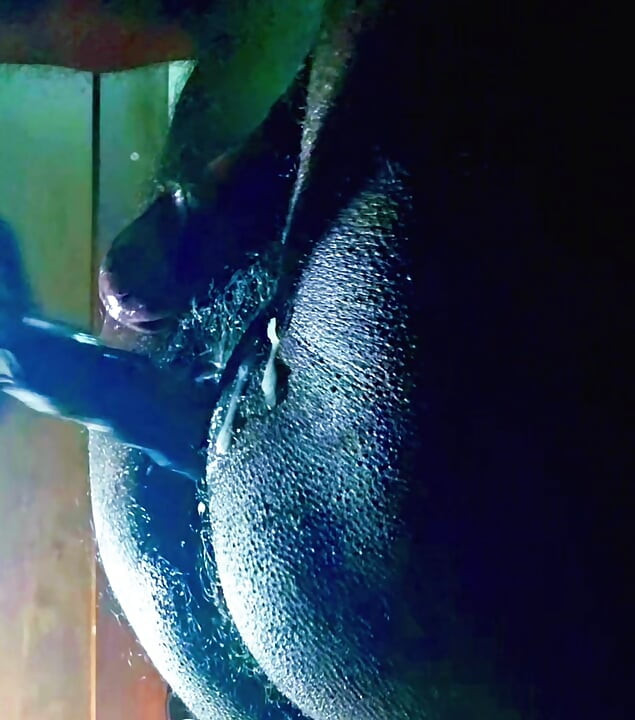 Machine Fucked me to handsfree orgasm and squirts 1 of 2