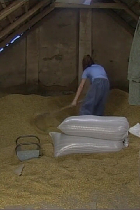 Beautiful Young Horny Was Satisfied as She Sucked the Big Cock Before Getting Fucked.