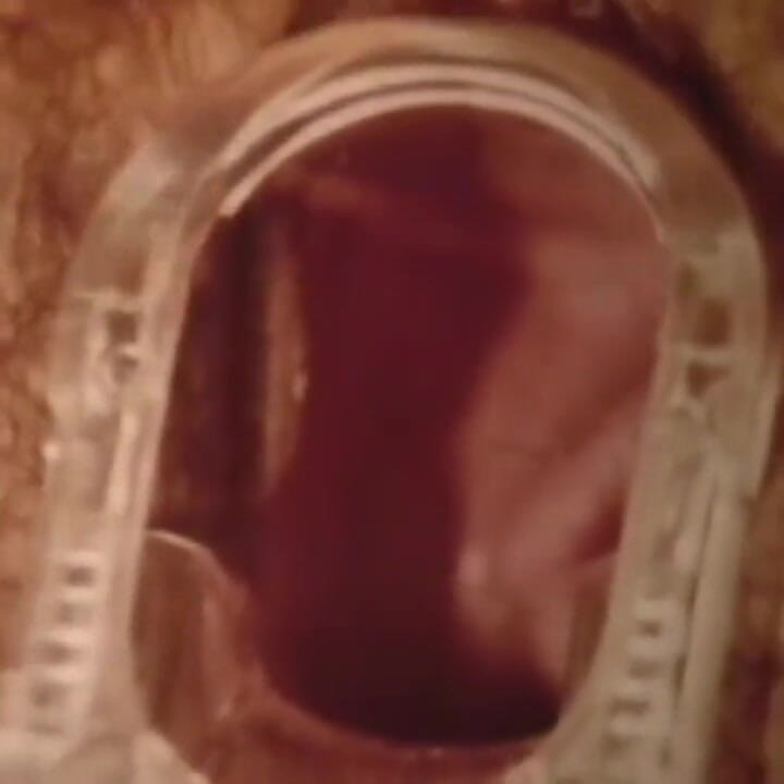 Legenda porno - USA 1969, awalnya - adegan 21