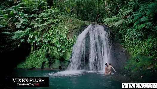 Füchsin, sie brachte die dinge dazu, ihren weg zu gehen