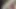 My indian big desi cock i#blackcock #bigdesi #xhamstar  #desi