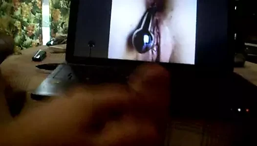 Tribute rosa mia