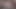 Cum from cock shaking closeup glans