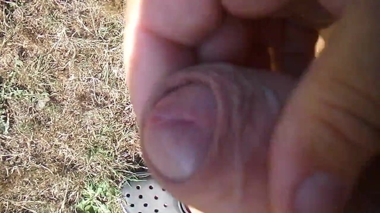 Woodwanker cumming
