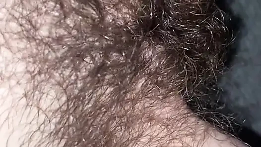 Hairy pussy closeup