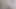 Masturbating Alone in the Woods
