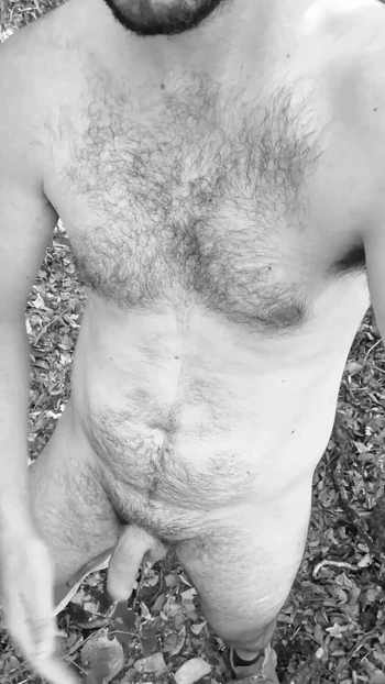 Exhib in the woods