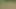 Nettes jugendlich Miezekatze, die draußen Baseball spielt