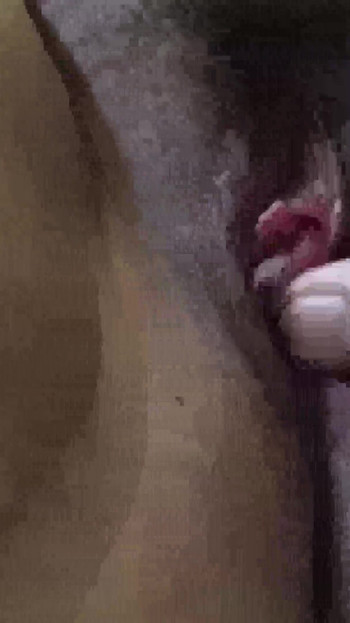 आधुनिक नग्न भाभी अपनी गीली चूत में देवर का वीर्य लेती है | क्लिप 1