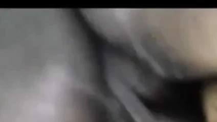 Zıplayan sağladım siyah çük