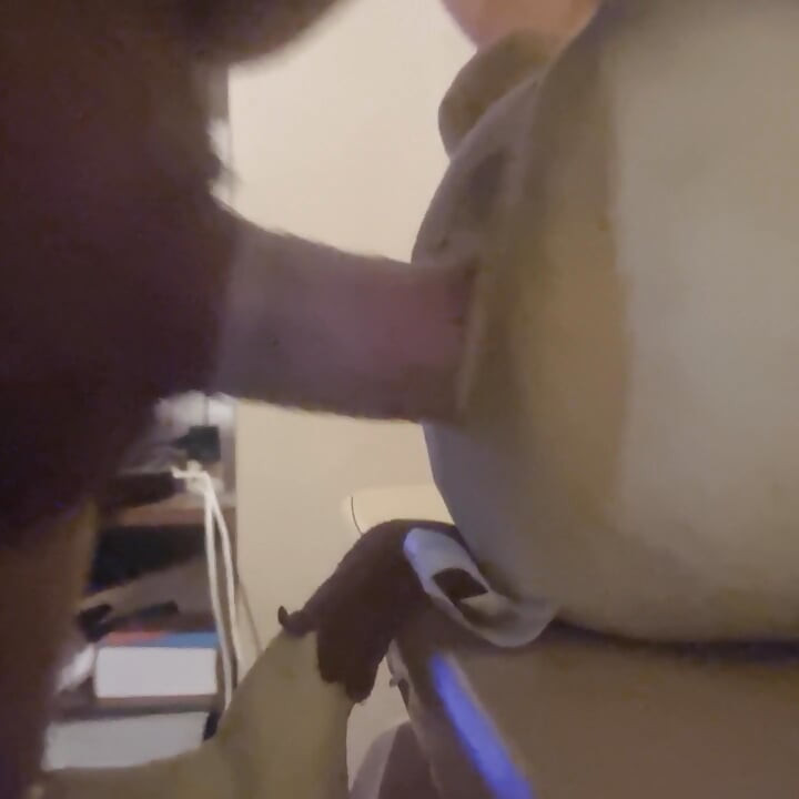 Fucking hard plushie