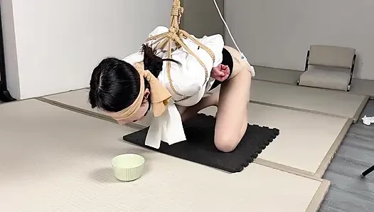 Коллекция слюны в японском стиле
