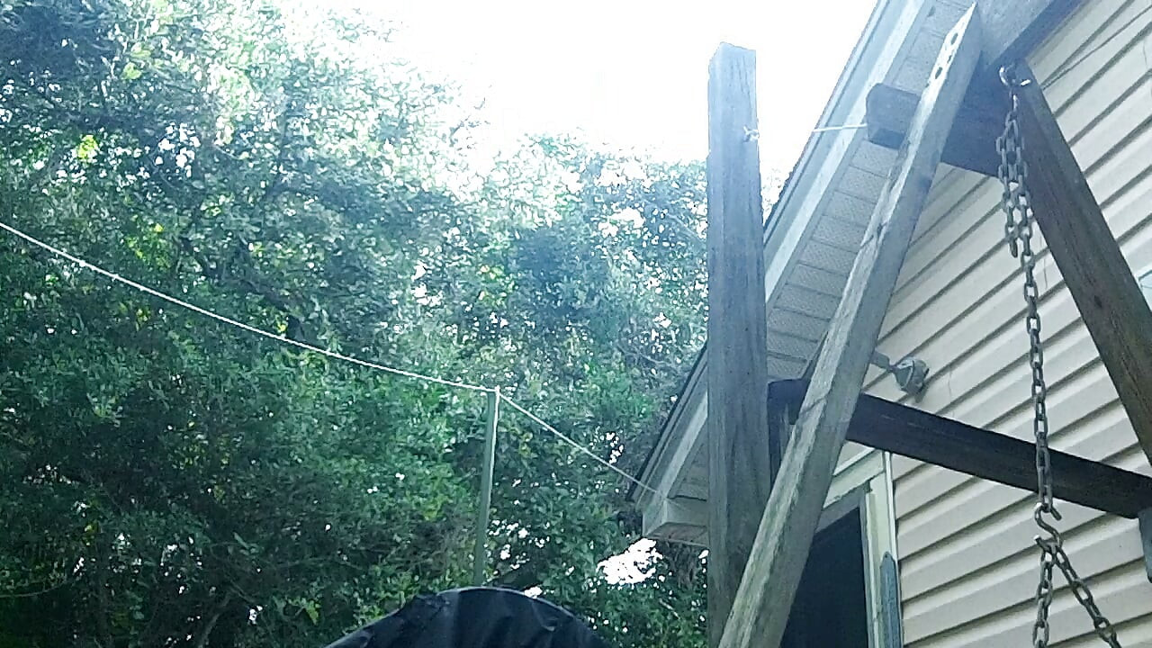 back deck stripping(by Charles J, #2 of 2)