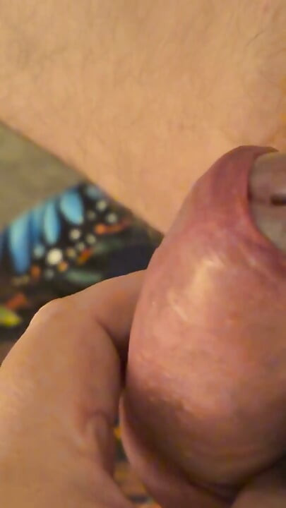 Spelen Met Mijn Kleine Mooie Lul En Mijn Eikel