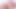 Hard Rock Bottoms 1 (Trans, Pegging, Gay, Bi compilation)