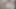 Baharatlı Hintli çift ev videosu, Hintli aşıklar gecesi