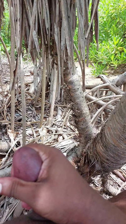 Melancap di pantai awam bogel Sri Lanka berkhatan dengan budak Sinhala