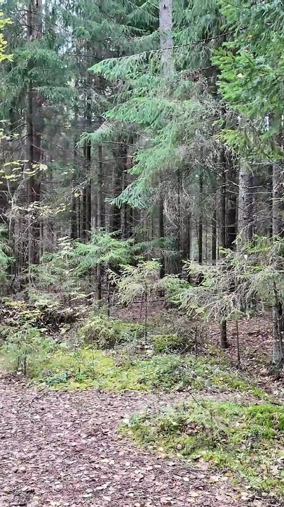 Büyük doğal göğüslü genç kız ormanda kayboldu