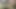 Indian couple having sex with each other