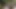 Yeni yıl günü riskli dışarıda seks