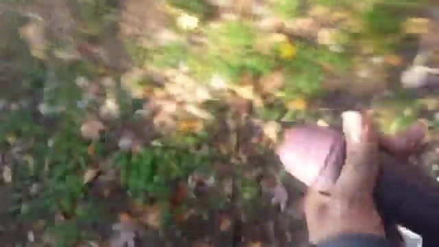 piss