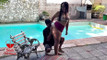 Pratinjau video