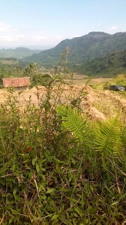 दिन के उजाले वाले प्रोजेक्ट में खेलें