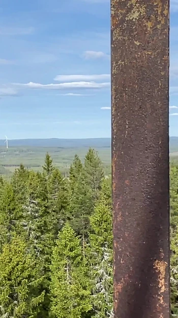Video preview