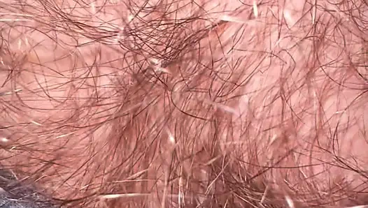 Pubis haare aus dem höschen lassen mich auf sie kommen