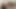 4 orta yaşlı seksi kadın oynuyor