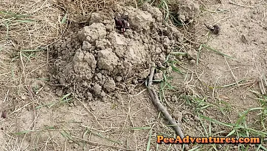 Pissing on a muscles of ants huge volume