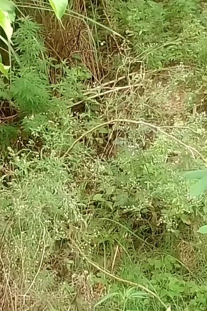 आपका सेक्सी लड़का रोहित जोरदार सेक्स वीडियो