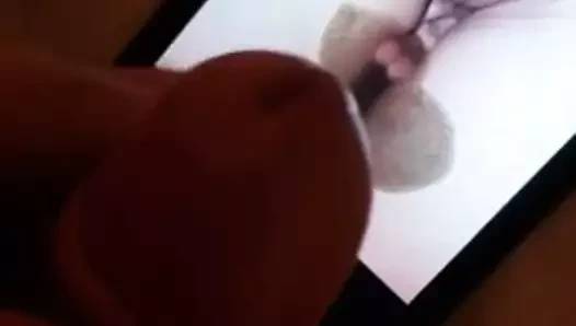 Cum haraç mr. v.