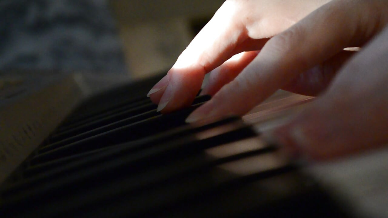 CatFerae video