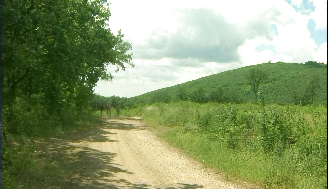 Foda Selvagem na Floresta Pau Grosso Bem Fundo na Buceta Dela