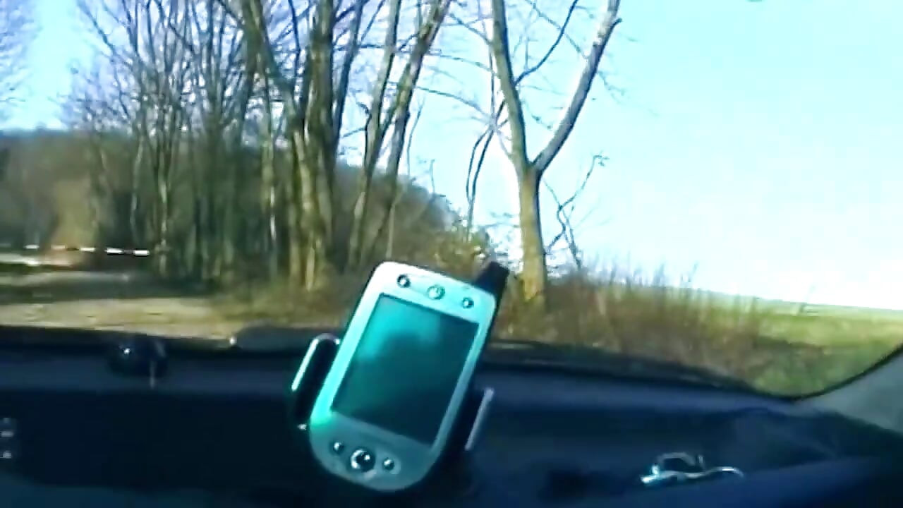 ブロンドが車の中でペニスをしゃぶり、濡れたアソコを見せる