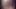 Dieser BG-Hengst ist Sukin einige Dik