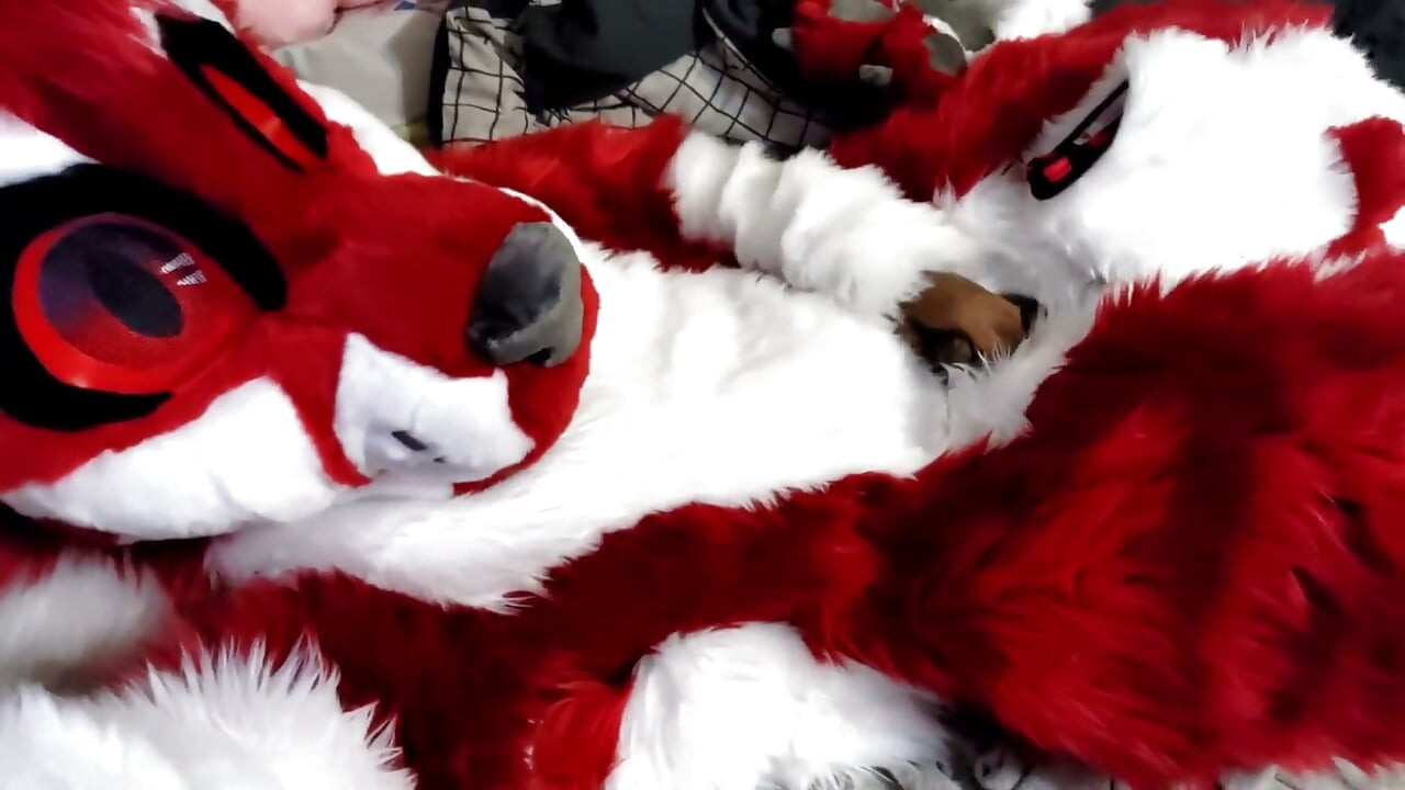 Jerking off and Showing Footpaws in Full-body Fursuit