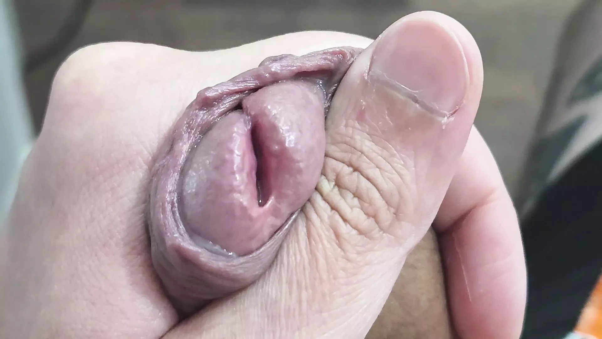 玩弄我的鸡巴
