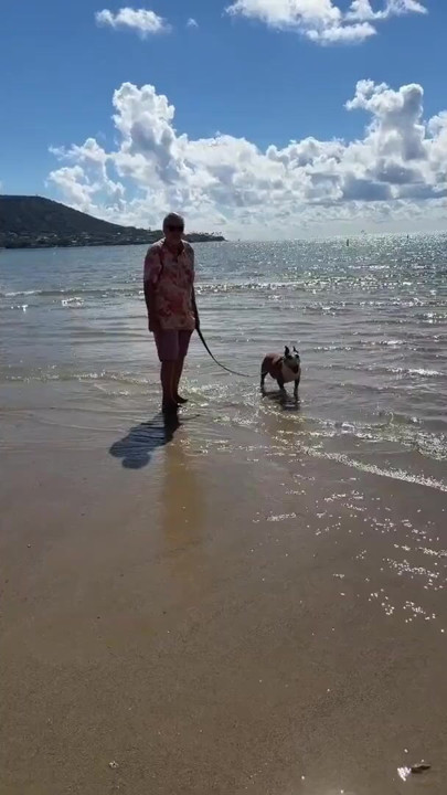 Paiko Fishpond, East Oahu, Hawaii | Clip 2