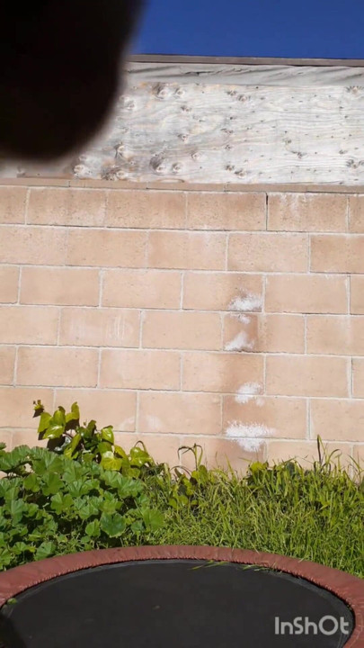 Черный паренек дает 3 камшота назад на спину | Клип 3