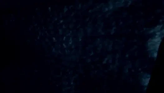 Fransa'dan inked bbae amına büyük miktarda döl alıyor