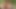 ما رأيك إذا هربنا معا لقضاء عطلة نهاية الأسبوع؟