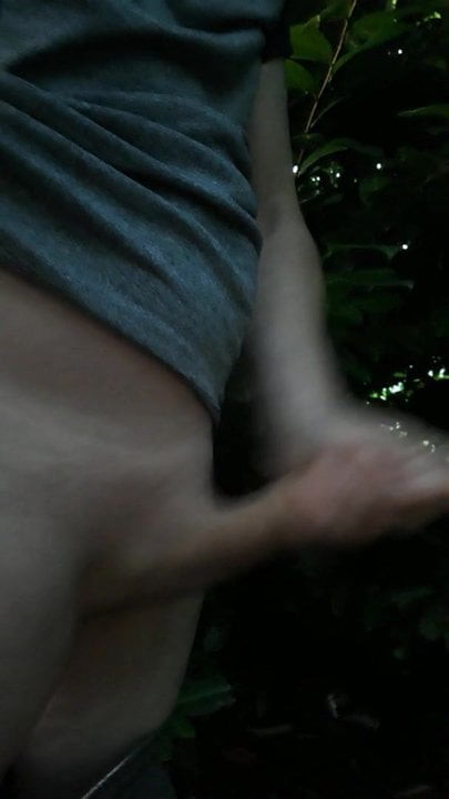 Out in the woods