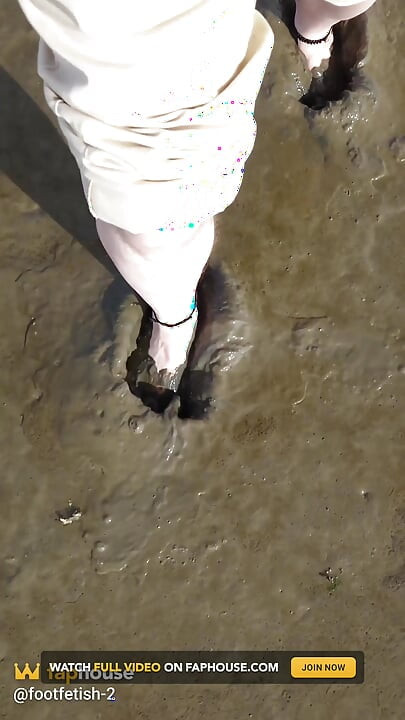 Short Test in the Mudflats on the Beach of Horumersiel