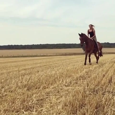 Einfach etwas reiten...