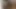 I need cock