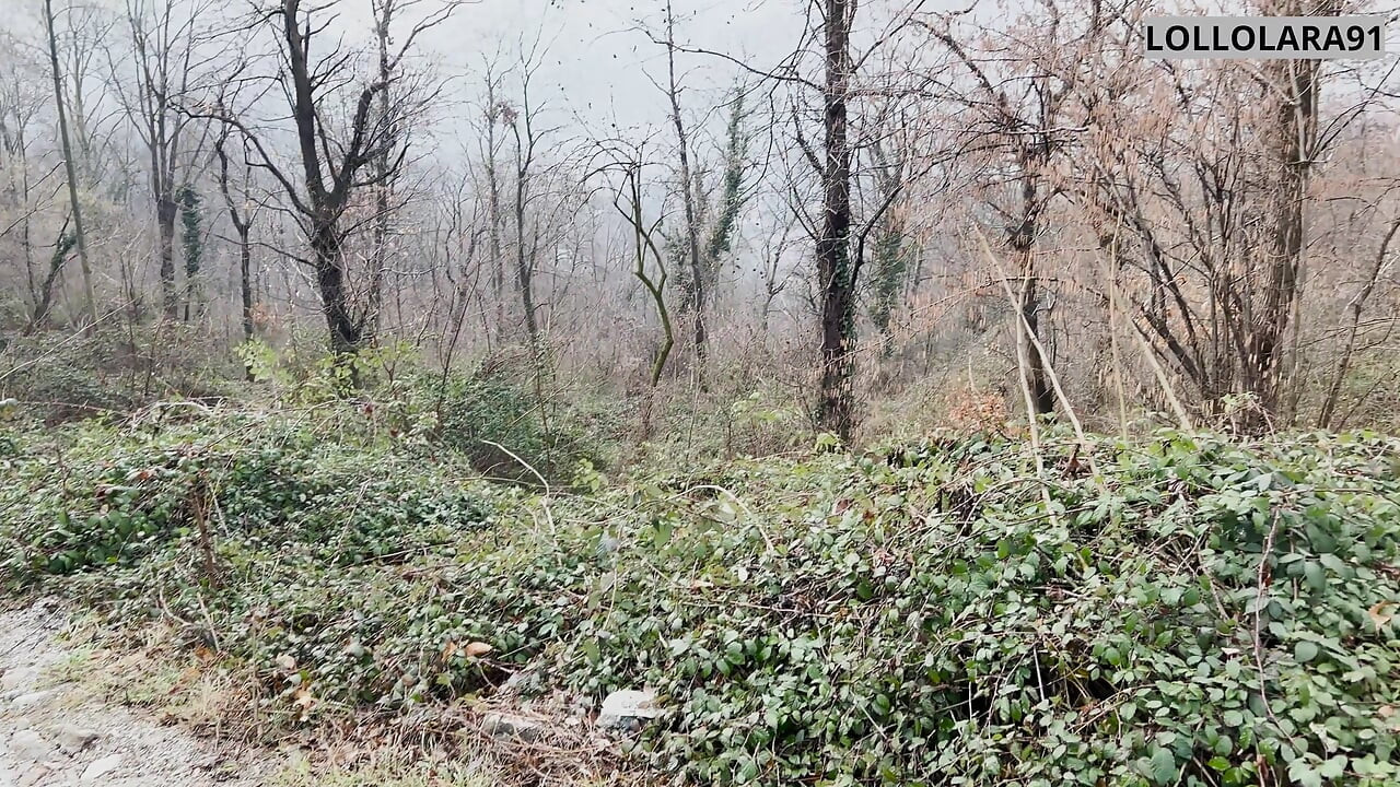 lost in the woods