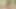 レズビアン起き おはよう アヌークとのシッソ動画
