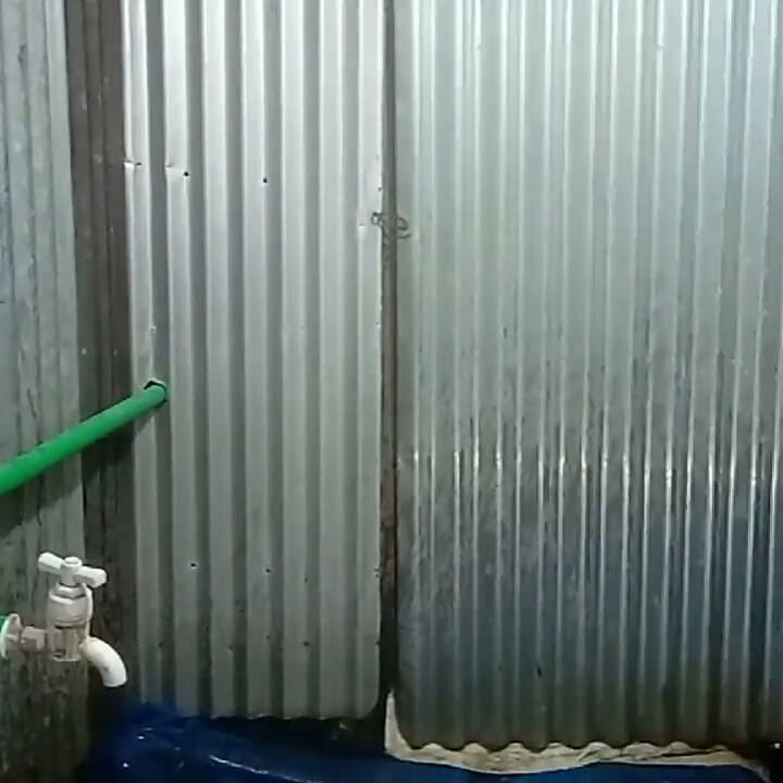 Video selamat pagi